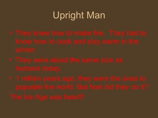 Upright Man They knew how to make fire.  They had to know how to cook and stay warm in the winter. They were about the same size as humans today. 1 million years ago, they were the ones to populate the world. But how did they do it? The Ice Age was here!!! 