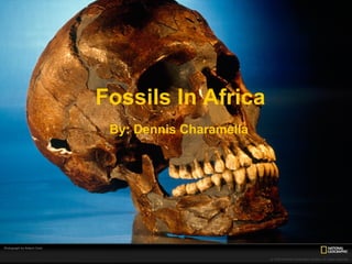 Fossils In   Africa By: Dennis Charamella 
