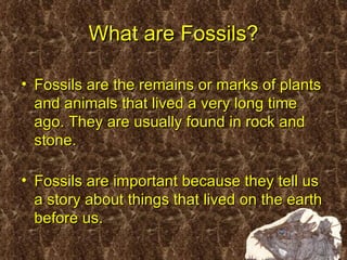 What are Fossils?

• Fossils are the remains or marks of plants
  and animals that lived a very long time
  ago. They are usually found in rock and
  stone.

• Fossils are important because they tell us
  a story about things that lived on the earth
  before us.
 