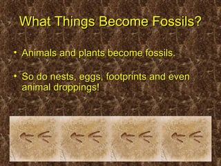 What Things Become Fossils?

• Animals and plants become fossils.

• So do nests, eggs, footprints and even
  animal droppings!
 