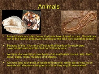 Animals



•   Animal fossils are often bones that have been turned to rock. Sometimes
    part of the flesh is preserved, but most of the time only skeletons remain.

•   Because of this, it is more difficult to find fossils of invertebrates.
    (Invertebrates are animals that don’t have bones.)

•   We have discovered several types of animal fossils: bones, skin, teeth,
    claws, eggs, nests, muscles, and organs.

•   We have also found lots of fossils of footprints, which tell us how much
    animals and dinosaurs weighed and how they might have walked.
 