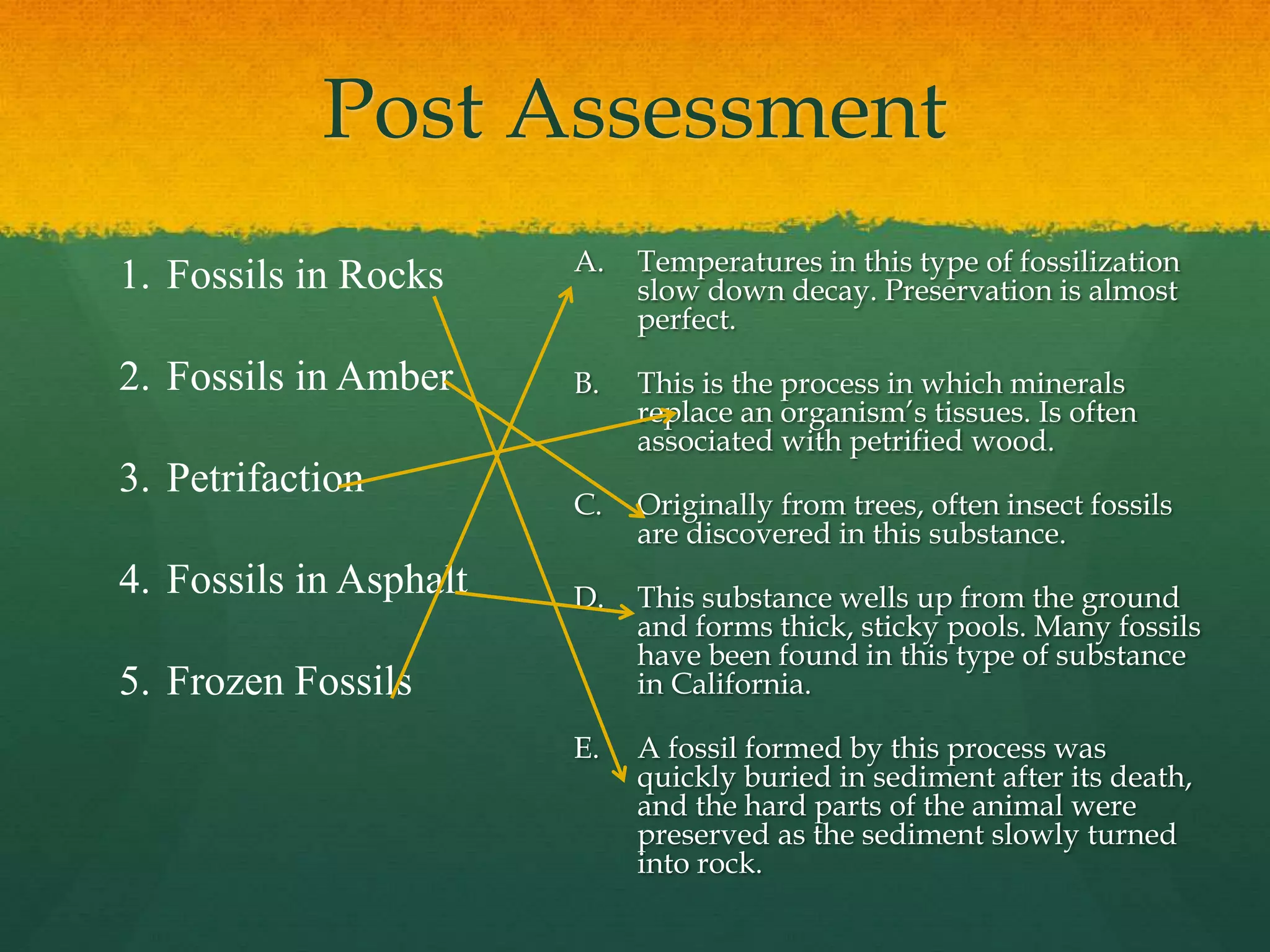 Post Assessment
1. Fossils in Rocks
2. Fossils in Amber
3. Petrifaction
4. Fossils in Asphalt
5. Frozen Fossils
A. Temperatures in this type of fossilization
slow down decay. Preservation is almost
perfect.
B. This is the process in which minerals
replace an organism’s tissues. Is often
associated with petrified wood.
C. Originally from trees, often insect fossils
are discovered in this substance.
D. This substance wells up from the ground
and forms thick, sticky pools. Many fossils
have been found in this type of substance
in California.
E. A fossil formed by this process was
quickly buried in sediment after its death,
and the hard parts of the animal were
preserved as the sediment slowly turned
into rock.
 
