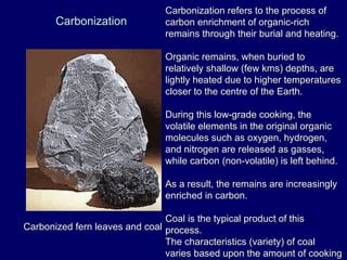 Fossils_processeses favouring preservation.ppt
