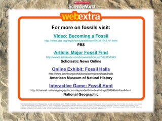 For more on fossils visit:
Video: Becoming a Fossil
http://www.pbs.org/wgbh/evolution/library/04/3/l_043_01.html

PBS

Article: Major Fossil Find
http://www2.scholastic.com/browse/article.jsp?id=3751945

Scholastic News Online

Online Exhibit: Fossil Halls
http://www.amnh.org/exhibitions/permanent/fossilhalls

American Museum of Natural History

Interactive Game: Fossil Hunt
http://channel.nationalgeographic.com/episode/dino-death-trap-2998#tab-fossil-hunt

National Geographic
Scholastic Classroom Magazines. www.scholastic.com Photo Credits:

PAGE 1: UTAH MUSEUM OF NATURAL HISTORY (DINOSAUR); PHOTOTAKE INC./ALAMY (ANT). PAGE
3: 5W INFORGRAPHIC (GRAPHIC). PAGE 4: Jason Lindsey/Alamy (DINOSAUR); Peter Bowater/Alamy (MOLD); David Lyons/Alamy (FERN); Hoberman Collection UK/Alamy (FOOTPRINT); John
Cancalosi/Alamy (MANTIS). PAGE 5: Gary Crabbe/Alamy (DINOSAUR). PAGE 6: Peter Bowater/Alamy (MOLD); Detail Heritage/Alamy (CAST). PAGE 7: David Lyons/Alamy (FERN). PAGE 8: Hoberman
Collection UK/Alamy (FOOTPRINT). PAGE 9: John Cancalosi/Alamy (MANTIS); R1/Alamy (TAR PITS); Gianni Dagli Orti/Corbis (MAMMOTH).

 