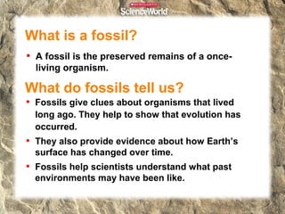 What is a fossil?
•

A fossil is the preserved remains of a onceliving organism.

What do fossils tell us?

• Fossils give clues about organisms that lived
long ago. They help to show that evolution has
occurred.

• They also provide evidence about how Earth’s
surface has changed over time.

• Fossils help scientists understand what past
environments may have been like.

 
