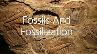 Fossils And
Fossilization
 