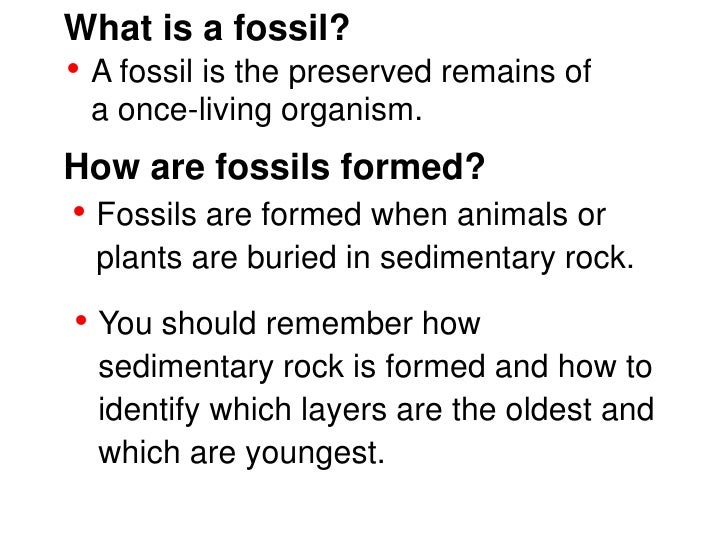 Fossils (teach)