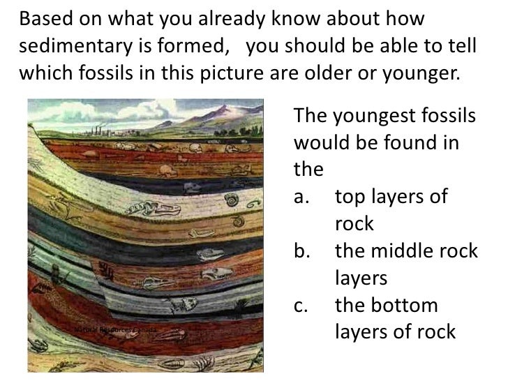 Fossils (teach)