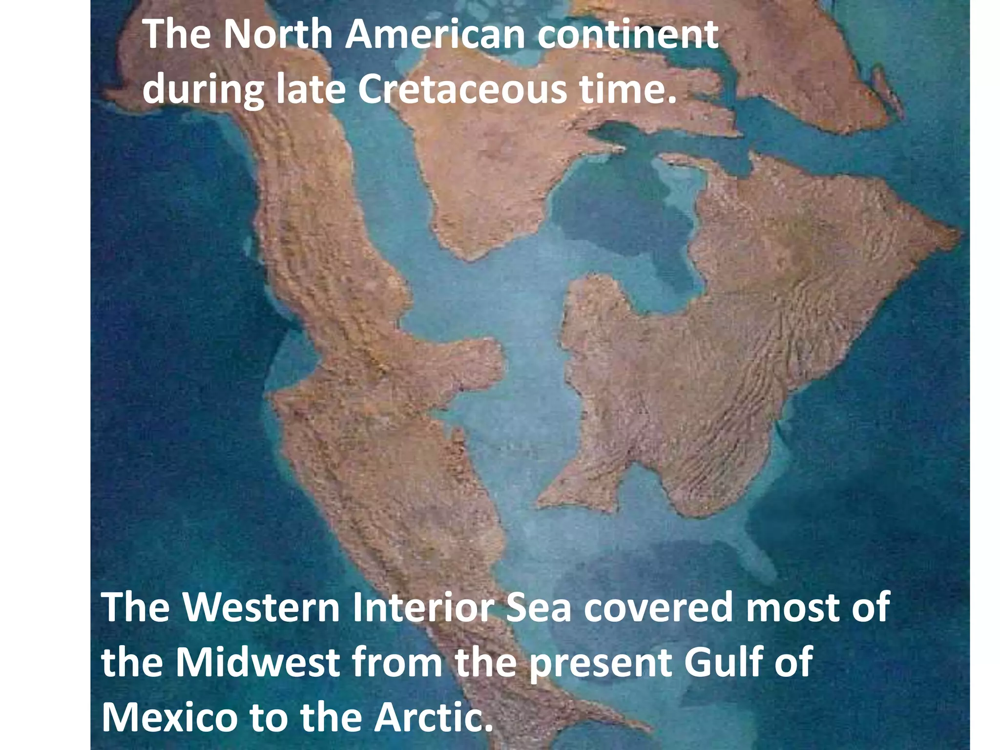 The North American continent
  during late Cretaceous time.




The Western Interior Sea covered most of
the Midwest from the present Gulf of
Mexico to the Arctic.
 