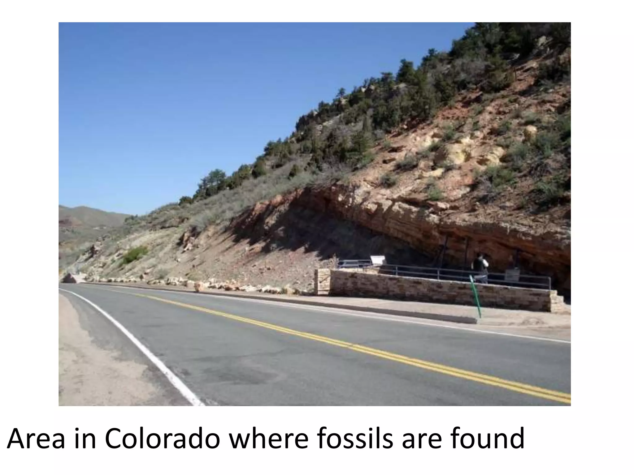 Area in Colorado where fossils are found
 