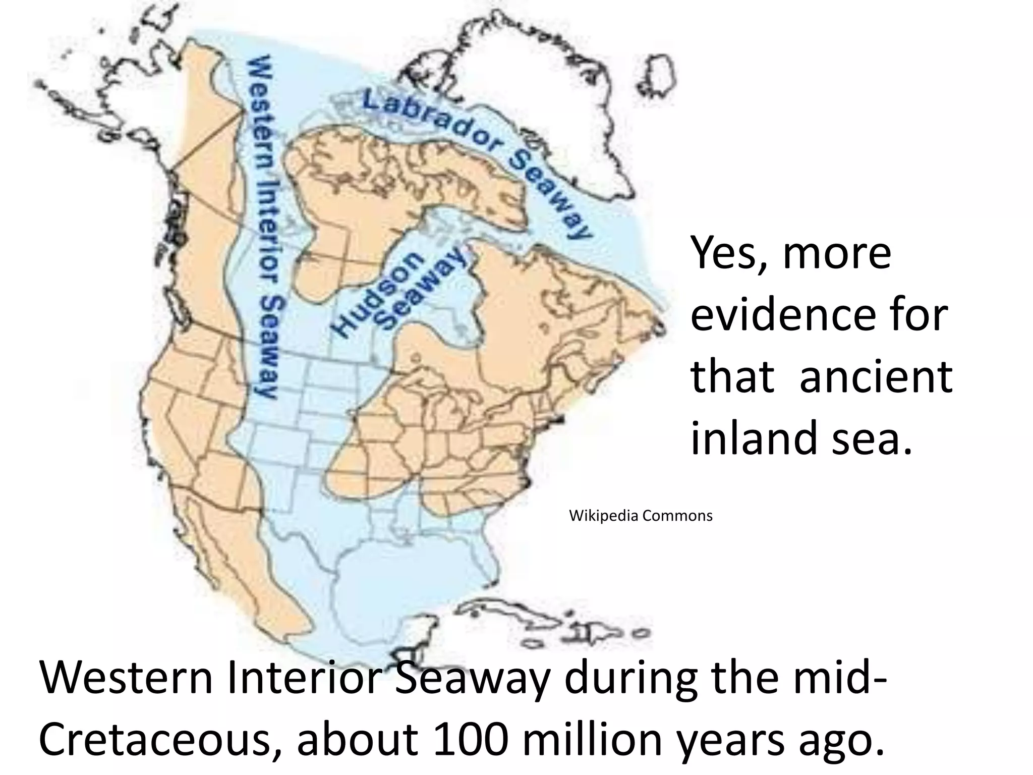 Yes, more
                                      evidence for
                                      that ancient
                                      inland sea.
                        Wikipedia Commons




Western Interior Seaway during the mid-
Cretaceous, about 100 million years ago.
 