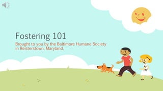 Fostering 101
Brought to you by the Baltimore Humane Society
in Reisterstown, Maryland.
 
