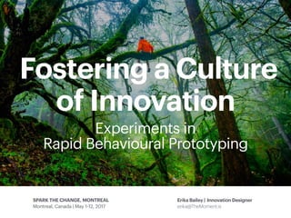 Fostering a Culture of Innovation: Experiments in Rapid Behavioural ...