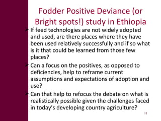 From research outputs to development outcomes: Fostering fodder innovation