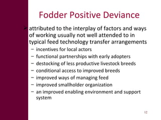 From research outputs to development outcomes: Fostering fodder innovation