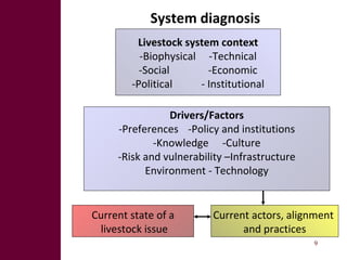 From research outputs to development outcomes: Fostering fodder innovation