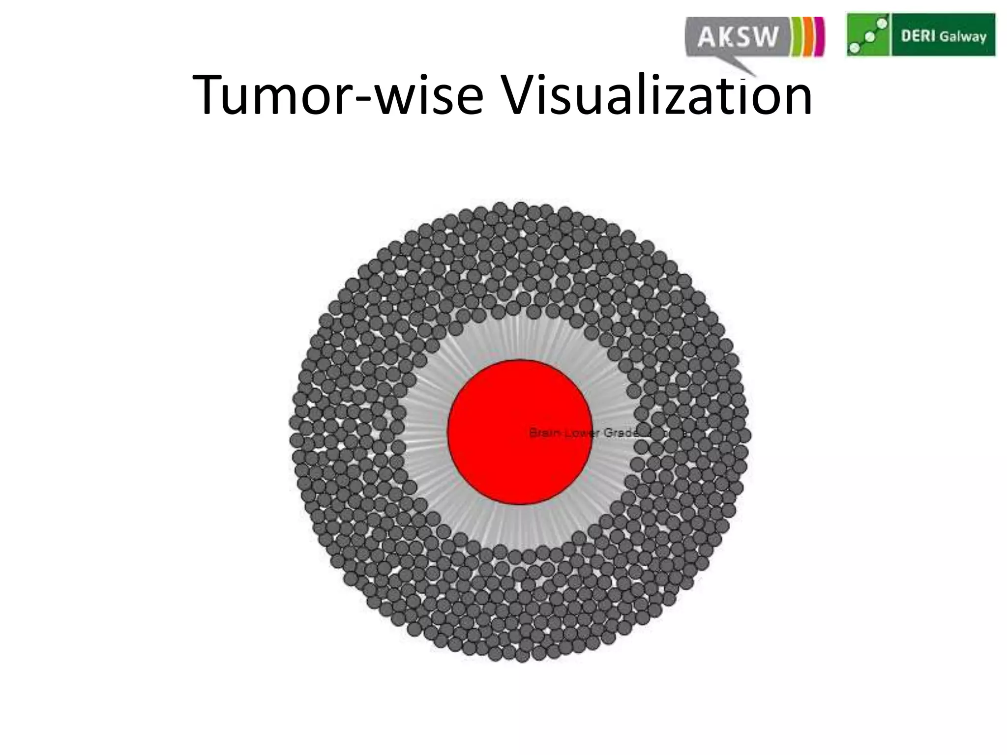 Tumor-wise Visualization 
 