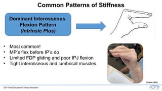Stiff Pattern FOTA24 - SC139 - KDANIELS - FINAL PPT.pptx