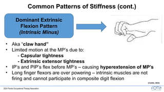 Stiff Pattern FOTA24 - SC139 - KDANIELS - FINAL PPT.pptx
