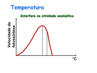°C Velocidade da  fotossíntese Temperatura Interfere na atividade enzimática 