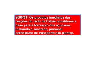 2009(01) Os produtos imediatos das reações do ciclo de Calvin constituem a base para a formação dos açúcares, incluindo a sacarose, principal carboidrato de transporte nas plantas. 
