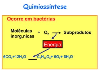 Quimioss í ntese Ocorre em bactérias 6CO 2 +12H 2 O  C 6 H 12 O 6 + 6O 2 + 6H 2 O Moléculas inorgânicas + O 2 Subprodutos Energia 