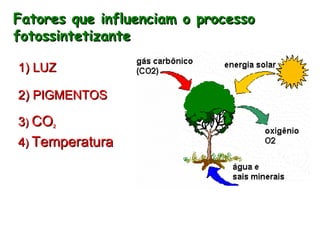 Fatores que influenciam o processo fotossintetizante 1) LUZ 2) PIGMENTOS 3 )  CO 2 4 )  Temperatura 