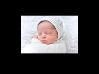 Fotógrafos new born