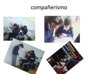 compañerismo
 