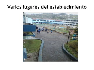 Varios lugares del establecimiento
 