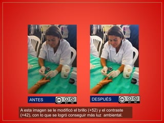 A esta imagen se le modificó el brillo (+52) y el contraste
(+42), con lo que se logró conseguir más luz ambiental.
ANTES DESPUÉS
 