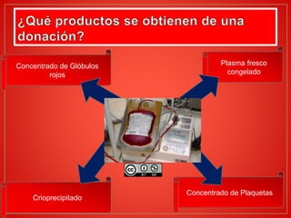 Concentrado de Glóbulos
rojos
Plasma fresco
congelado
Crioprecipitado
Concentrado de Plaquetas
 