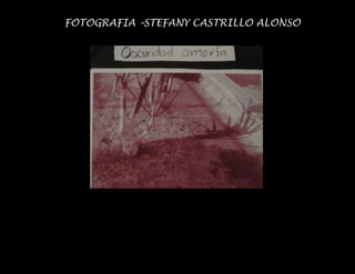 FOTOGRAFIA –STEFANY CASTRILLO ALONSO
 
