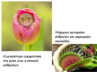 Υπάρχουν φυτοφάγοι
άνθρωποι και σαρκοφάγα
λουλούδια.
Η μεγαλύτερη ευχαρίστηση
στη φύση είναι η απουσία
ανθρώπων.
 