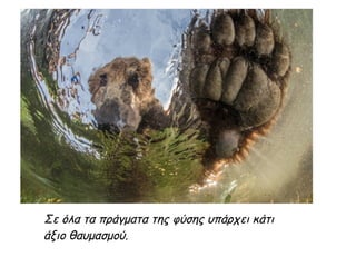 Σε όλα τα πράγματα της φύσης υπάρχει κάτι
άξιο θαυμασμού.
 