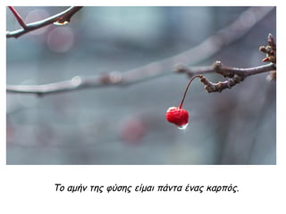 Το αμήν της φύσης είμαι πάντα ένας καρπός.
 