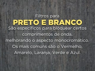 FIM.foto.eca.luli.com.br
 