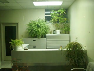 AWB
Auto White Balance ou
é para ambientes mistos.
 