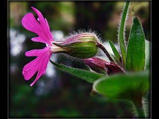 EXPOSIÇÃO
Pontos de
 