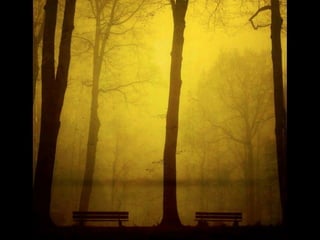 INQUIETA
Essa composição
o espectador e o estimula 
a ver a imagem por inteiro,
comparando formas, tamanhos,
cores e texturas instintivamente.
 