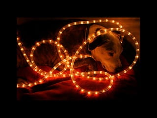 PONTOS DE FOCO
No cruzamento dos eixos estão os
que atraem muita atenção.
 