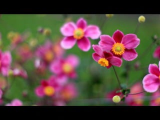 ORIENTAÇÃO,
Linhas de
intencionais ou não, podem
aumentar a perspectiva, direcionar
a visão, reforçar padrões,
aumentar contrastes e tornar a
foto mais dramática.
 