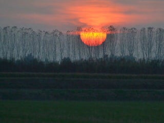 INTIMIDADE.
A câmara na altura dos olhos reforça a
Este foi um dos segredos do sucesso
de E.T: o filme foi feito na altura  
dos olhos de uma criança.
 
