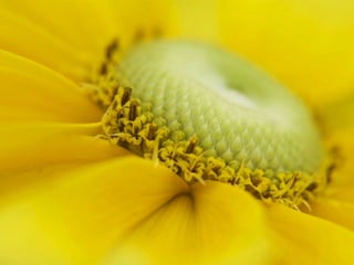 BAIXOS
Horizontes muito
aumentam a importância e
isolamento. Normalmente
transmitem um ar dramático.
 