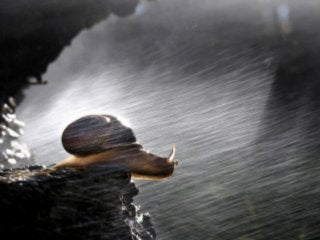 FOTOGRAFIA DIGITAL
CRP-0420:
 