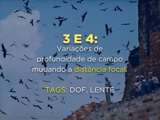 3 E 4:
Variações de 
profundidade de campo
mudando a distância focal.
TAGS: DOF, LENTE
 