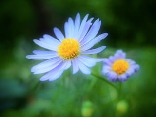SUPLEMENTARIDADE:
contraste de
os cinzas não são tão diferentes assim!
 