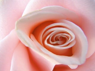 EXTENSÃO
contraste de
 