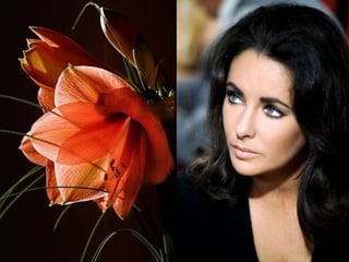 CORES
combinações de
 