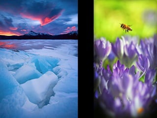 CONTRASTE
Temperatura de cor: se dá por
 